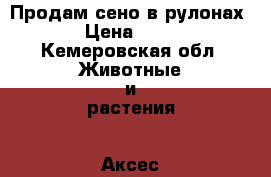 Продам сено в рулонах. › Цена ­ 700 - Кемеровская обл. Животные и растения » Аксесcуары и товары для животных   . Кемеровская обл.